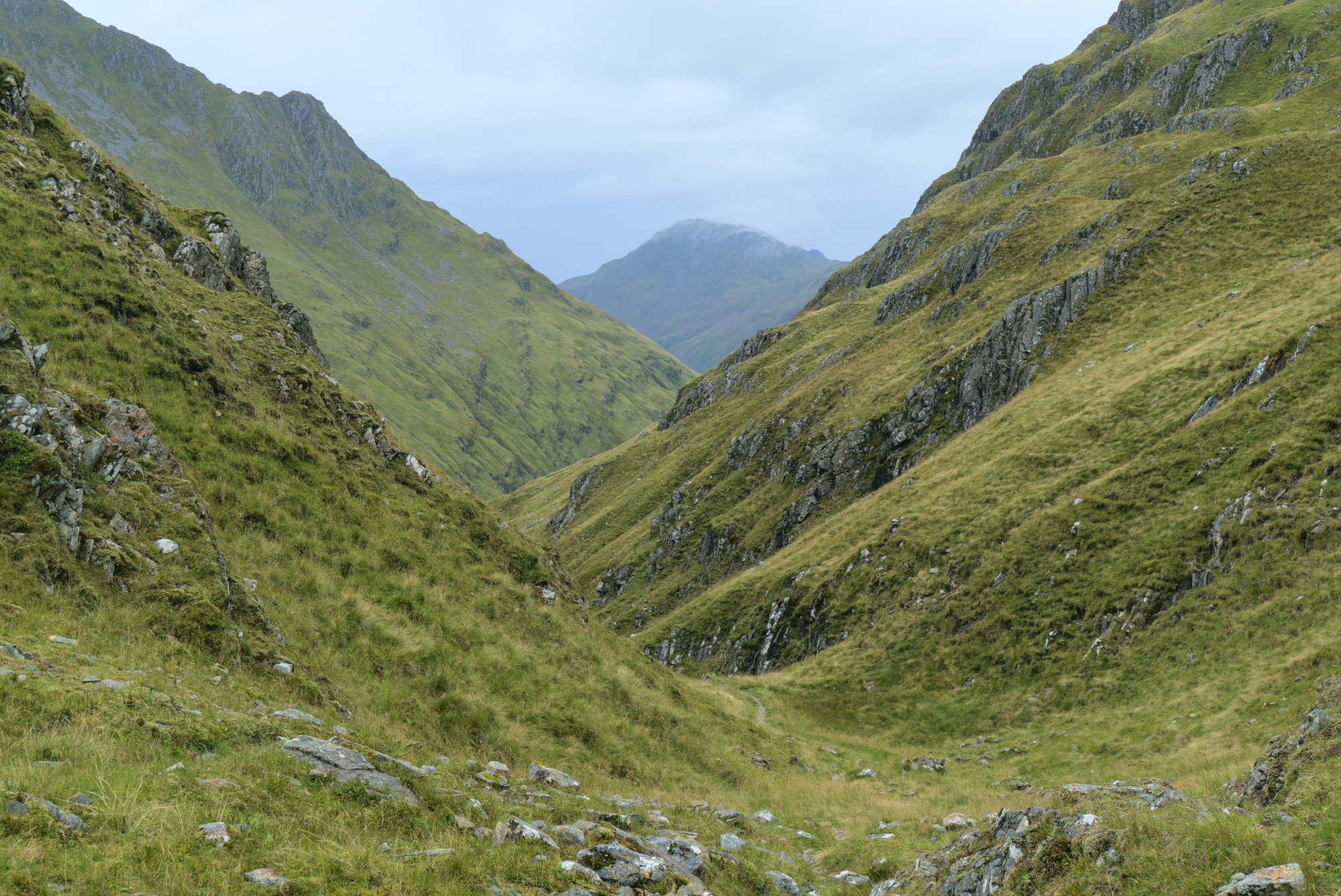 An Undefined Path of Life